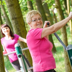 Image for Practical Advice for Exercise and Type 1 Diabetes