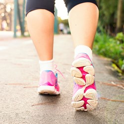 Image for Exercise and Physical Activity:  Healthy Living