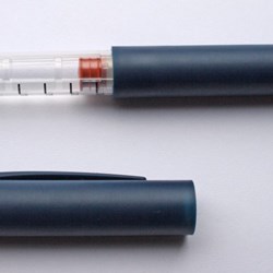 Image for Punjabi - Insulin Information