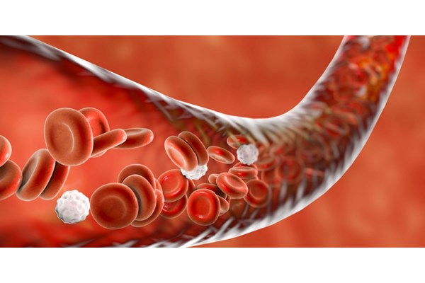 Blood Glucose Tests Explained
