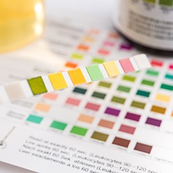 Image for High Ketone Management Flowchart for Hybrid Closed Loop Users